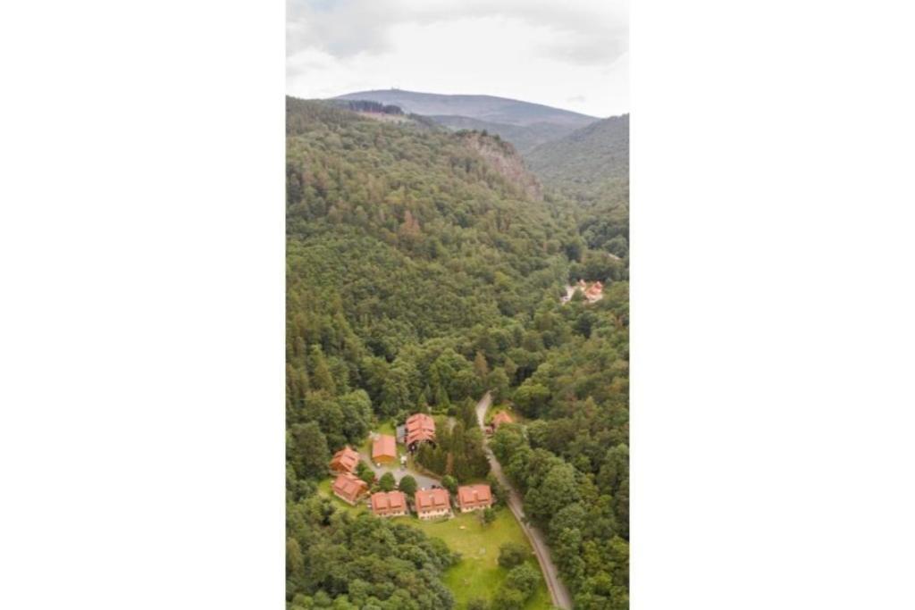Ferienwohnung Forsthaus Am Brocken, 55 Qm, 2 Schlafzimmer F7 Ilsenburg Extérieur photo