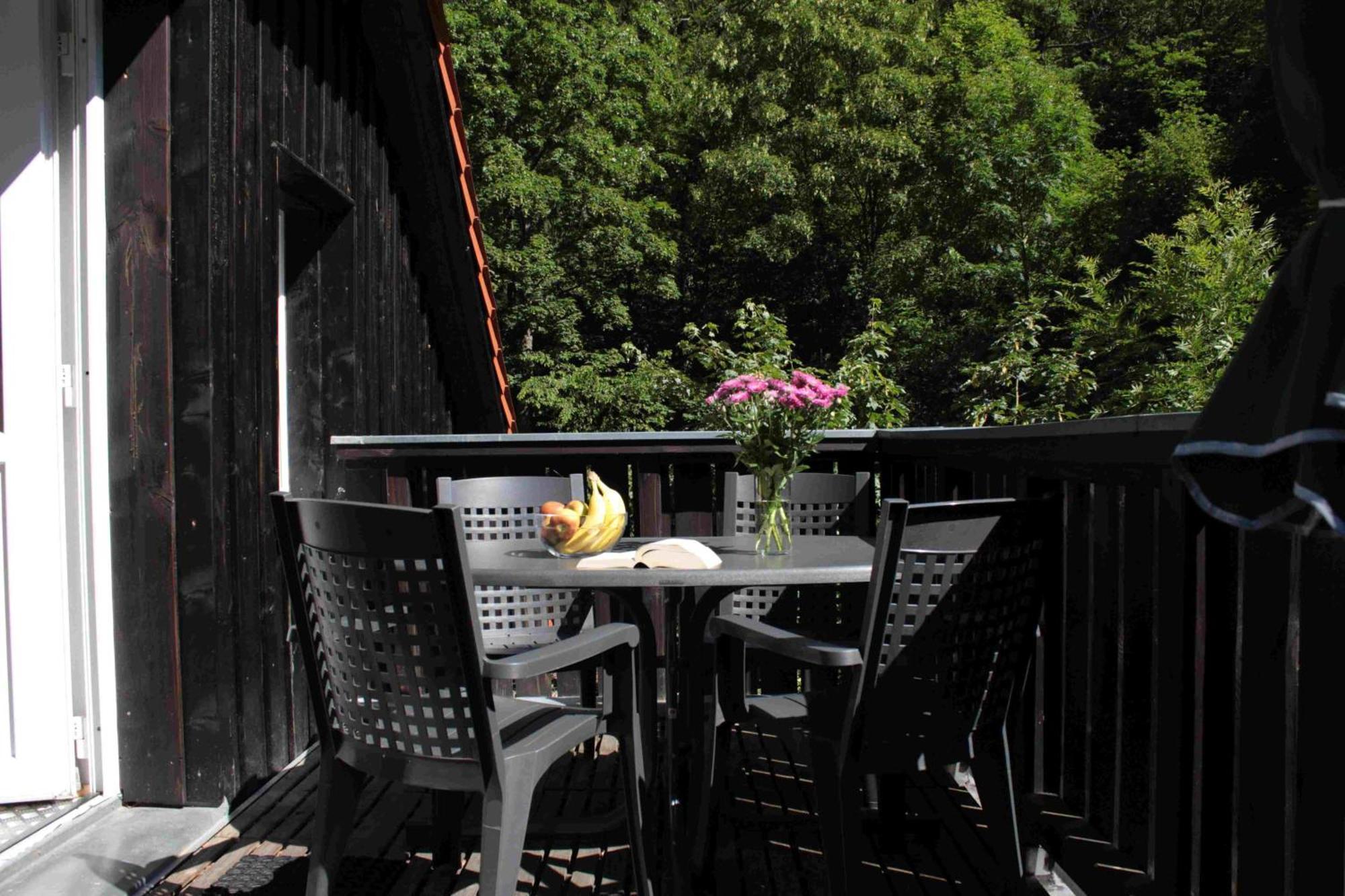 Ferienwohnung Forsthaus Am Brocken, 55 Qm, 2 Schlafzimmer F7 Ilsenburg Extérieur photo